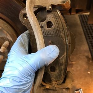 Meet your Posher, Frank